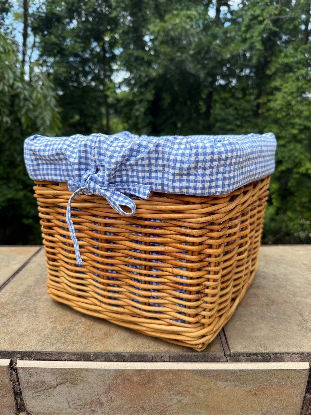 Pottery Barn Kids Woven Rattan Basket with Blue Gingham Liner